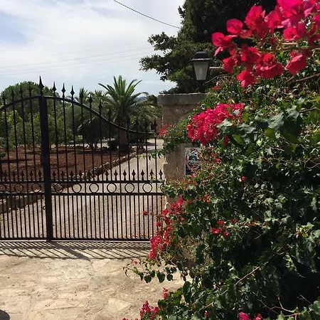 Mena Pollenca